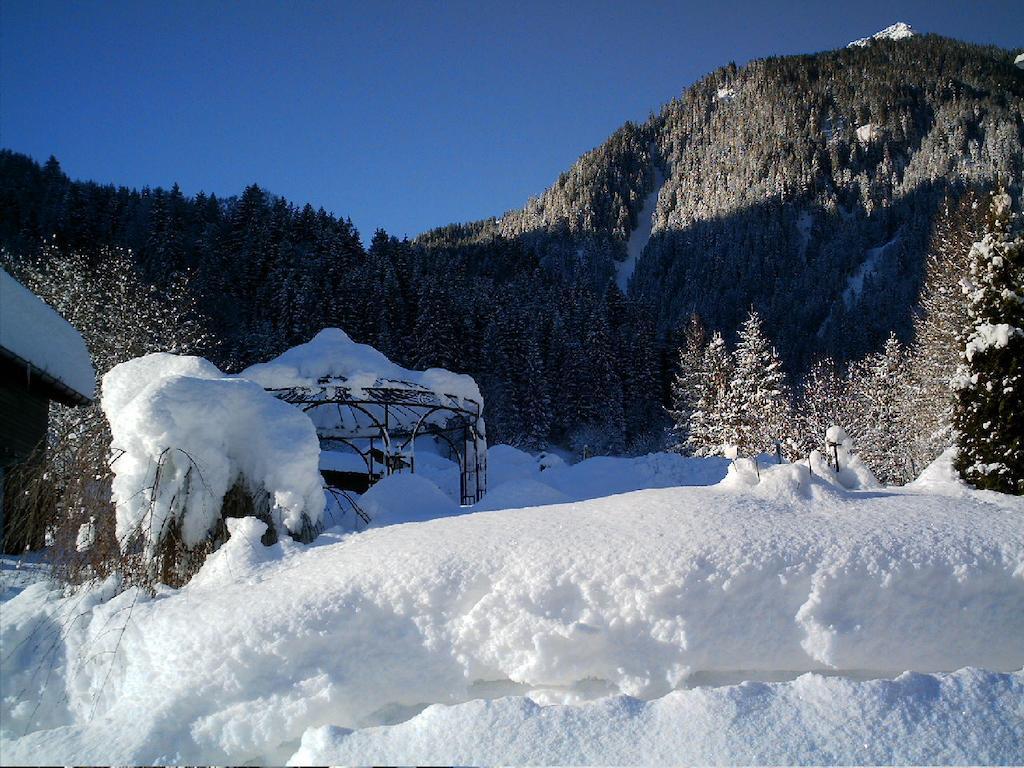 Haus Idili Apartment Sankt Gallenkirch Bagian luar foto