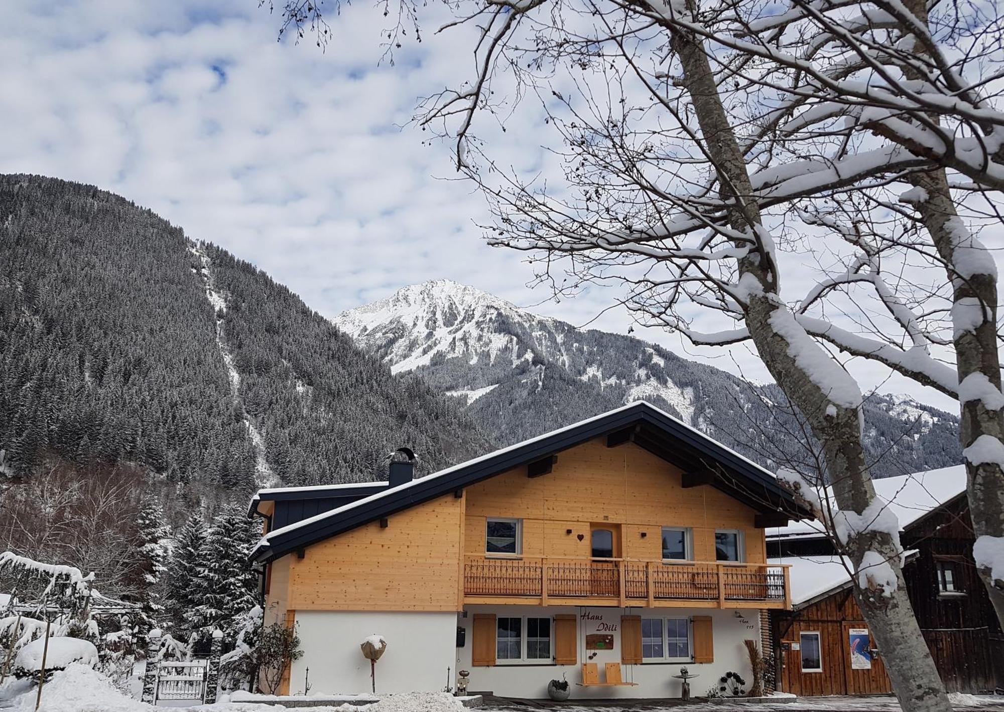 Haus Idili Apartment Sankt Gallenkirch Bagian luar foto